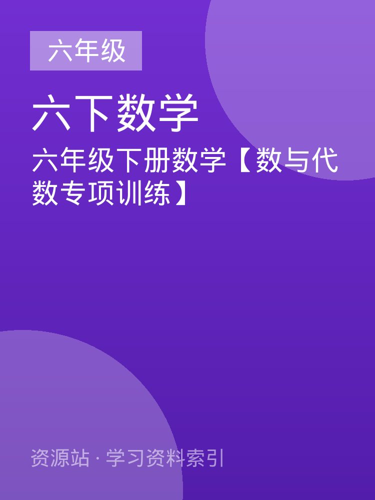 六年级下册数学【数与代数专项训练】