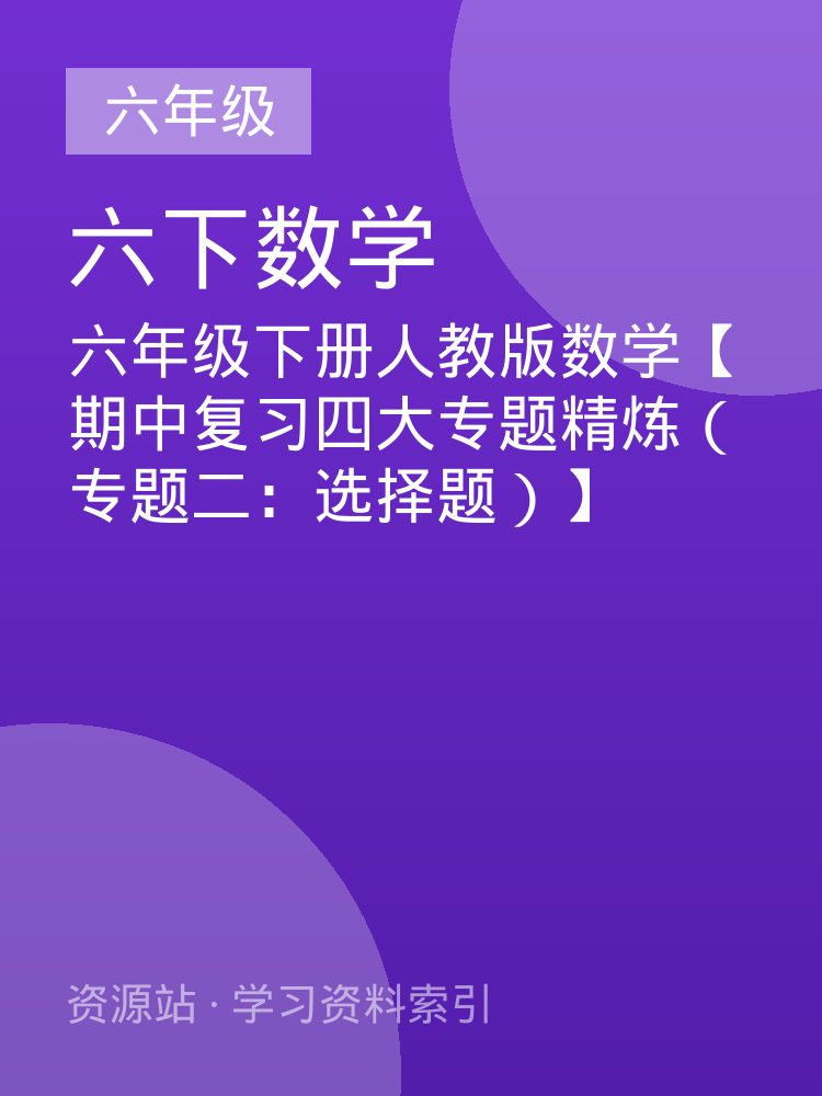六年级下册人教版数学【期中复习四大专题精炼（专题二：选择题）】