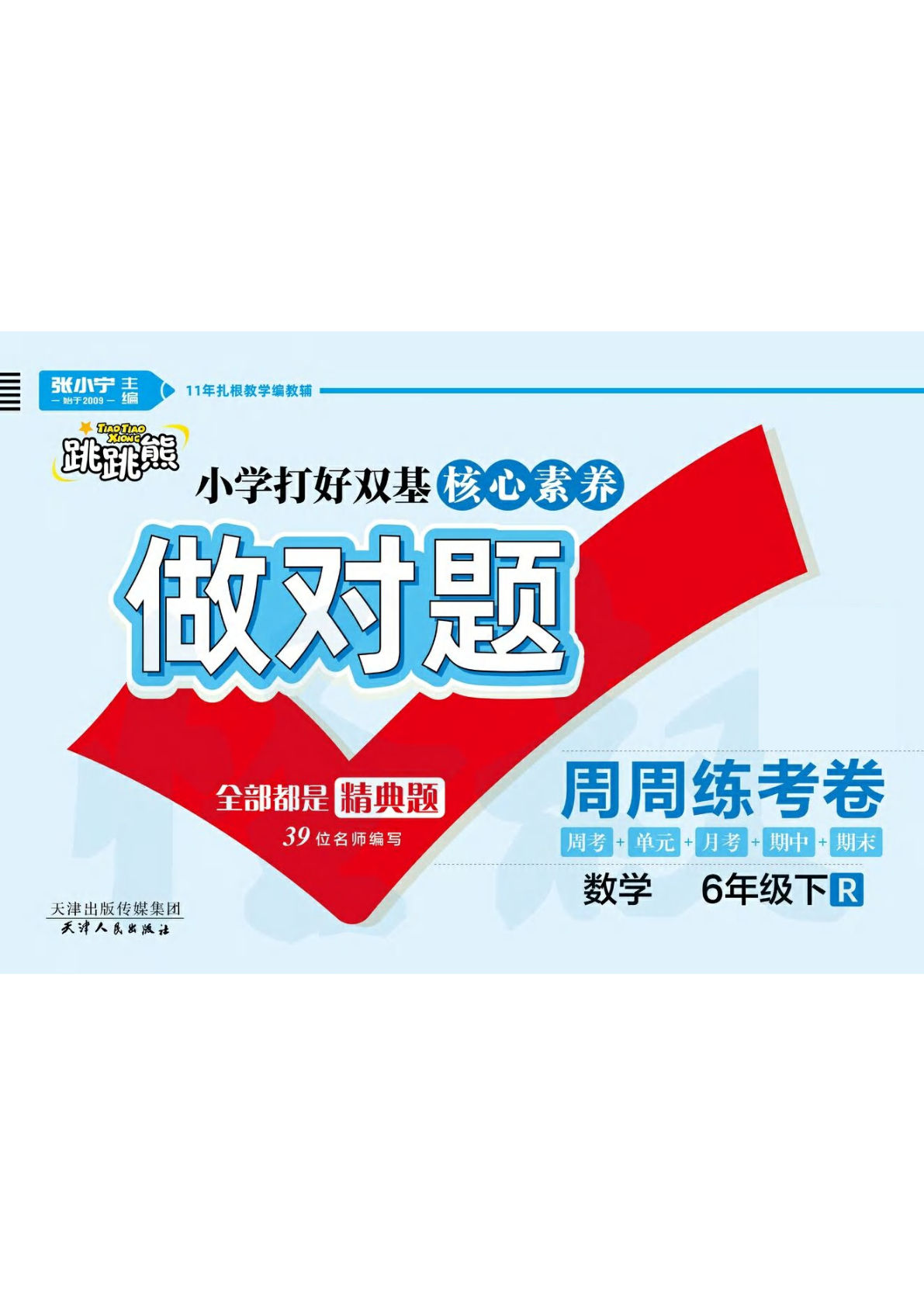 《做对题核心素养卷》做对题核心素养卷六年级数学人教版下册精典题 高清无水印