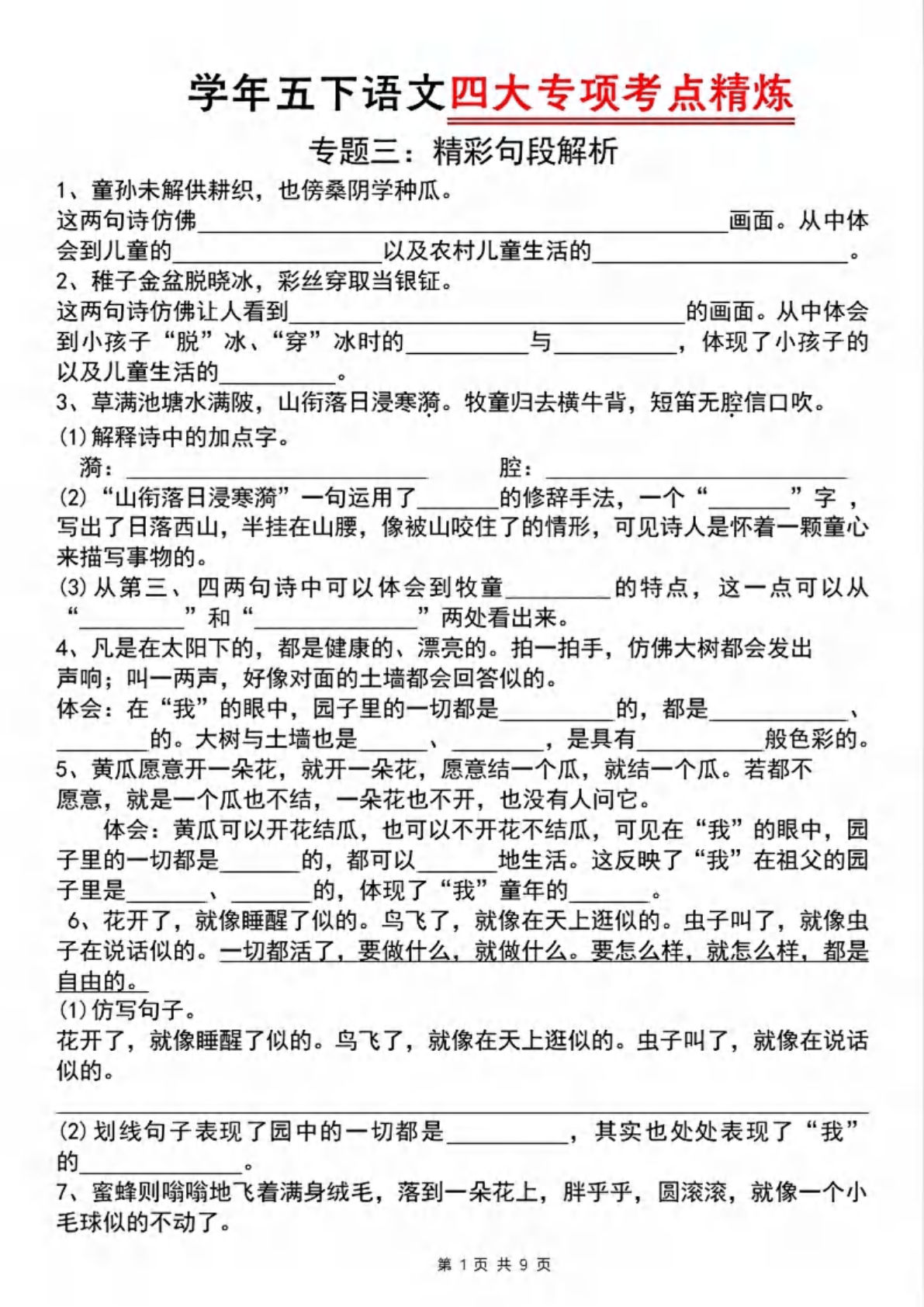 五年级下册语文四大专项考点精炼（专题三：精彩句段解析）