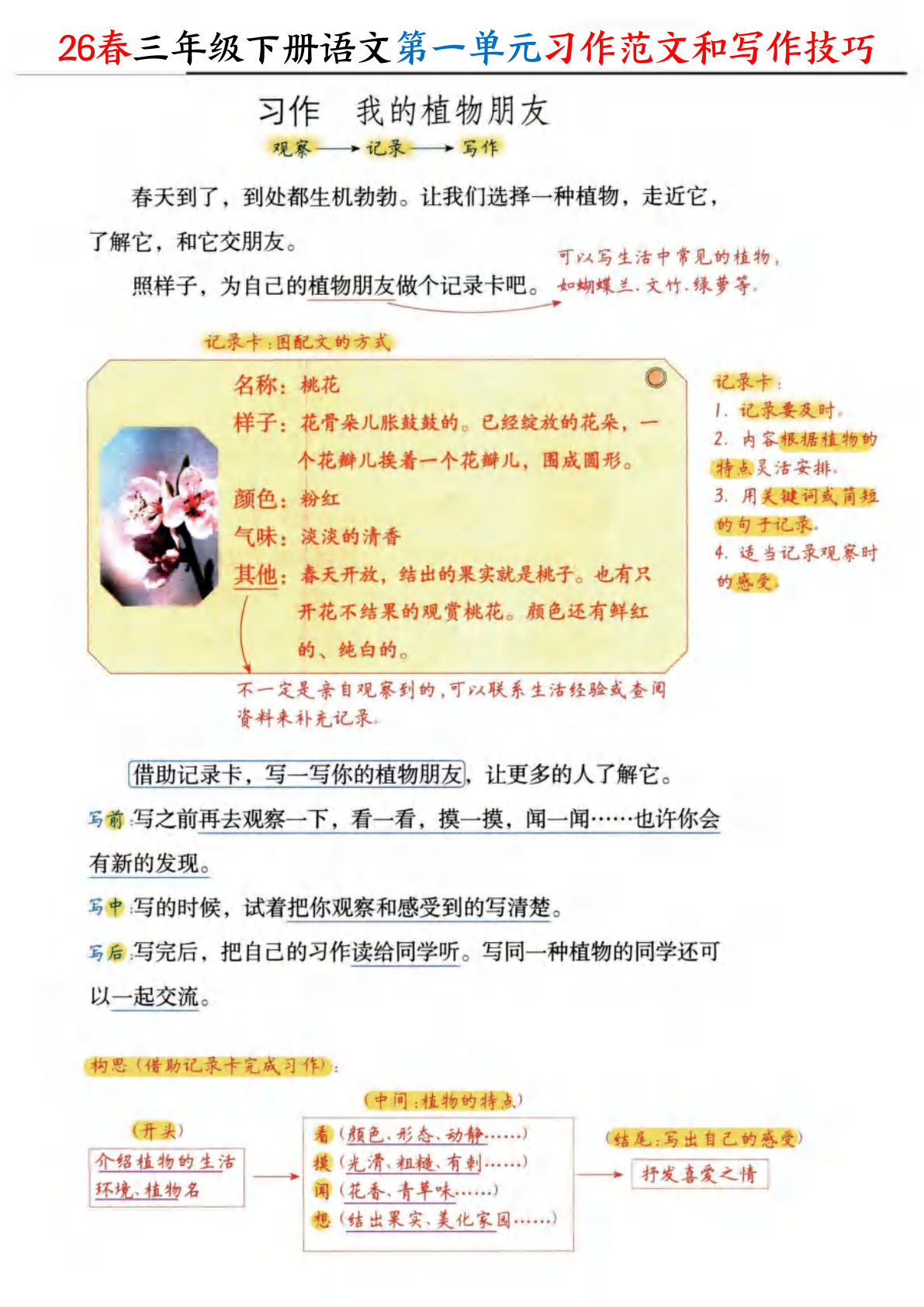 26春三年级下册语文1-8单元习作范文和写作技巧（16页）