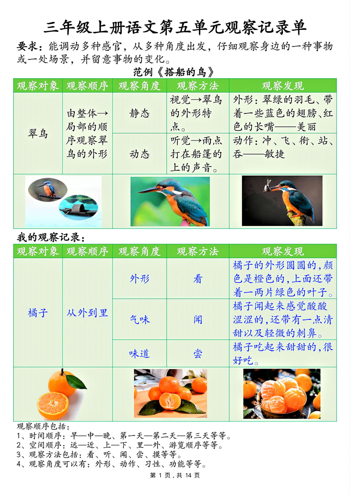 三年级上册语文第五单元观察记录单（空白+答案14页）